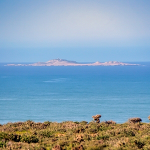 Bay of El Rosario