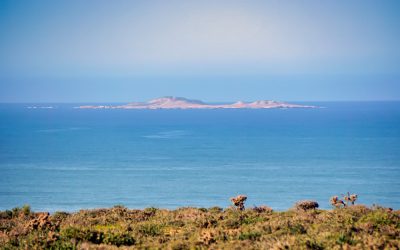 First Offer Published For Pre-Sales Reservations