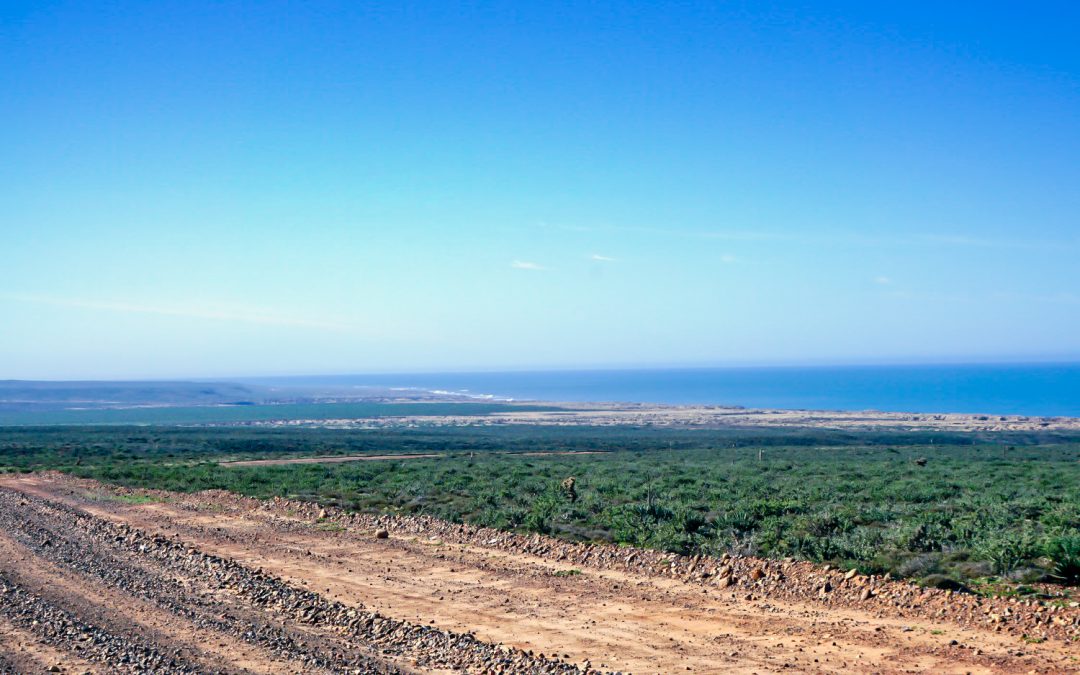 Reservation Process For First Offer