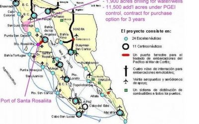 ​Escalera Nautica (Nautical Ladder)