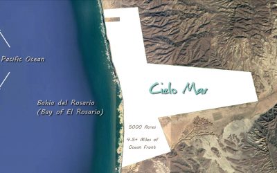 First Reservation Offer