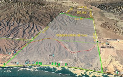 3D Perspective Views & Phase I Area